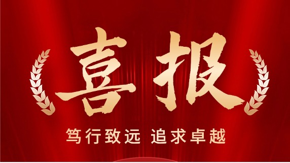 即时足球比分